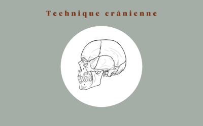 Technique Crânienne