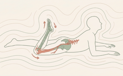 Cruralgie : un exercice de mobilisation neurodynamique pour soulager rapidement la douleur à la cuisse