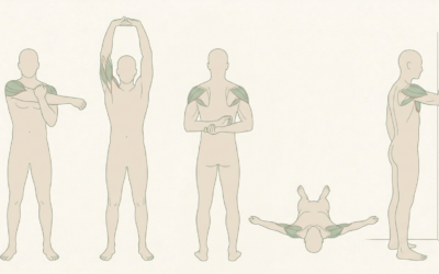 Étirements épaules : 5 exercices recommandés par votre ostéopathe pour soulager tensions et douleurs