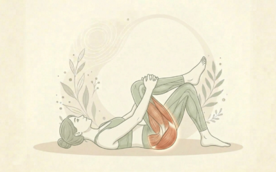 Étirement actif du piriforme : soulagez sciatique et douleurs fessières avec cet exercice recommandé par votre ostéopathe