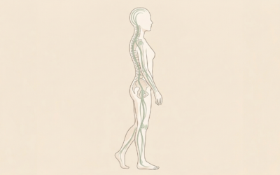 Une approche globale et douce pour retrouver l’équilibre naturel de votre corps