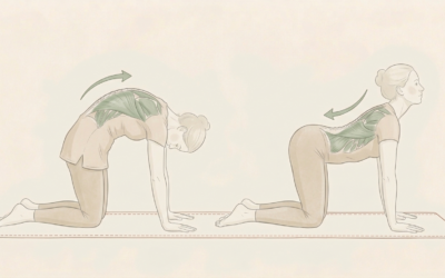 Mobilisation lombaire : l&rsquo;exercice du chat-vache recommandé par votre ostéopathe pour soulager le bas du dos