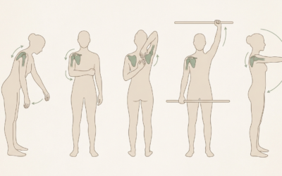 Mobilité de l&rsquo;épaule : la routine complète pour retrouver amplitude et confort après votre séance d&rsquo;ostéopathie