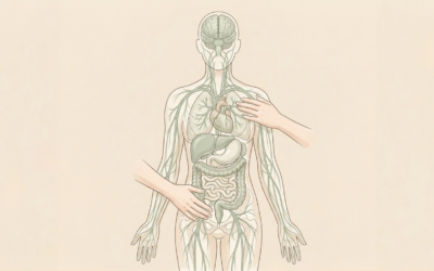 Raideurs, douleurs diffuses, fatigue inexpliquée : libérez vos fascias avec l&rsquo;ostéopathie