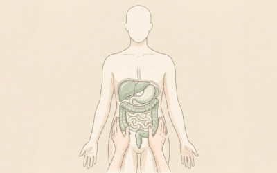 Ballonnements, reflux, digestion difficile : votre ostéopathe traite aussi vos organes